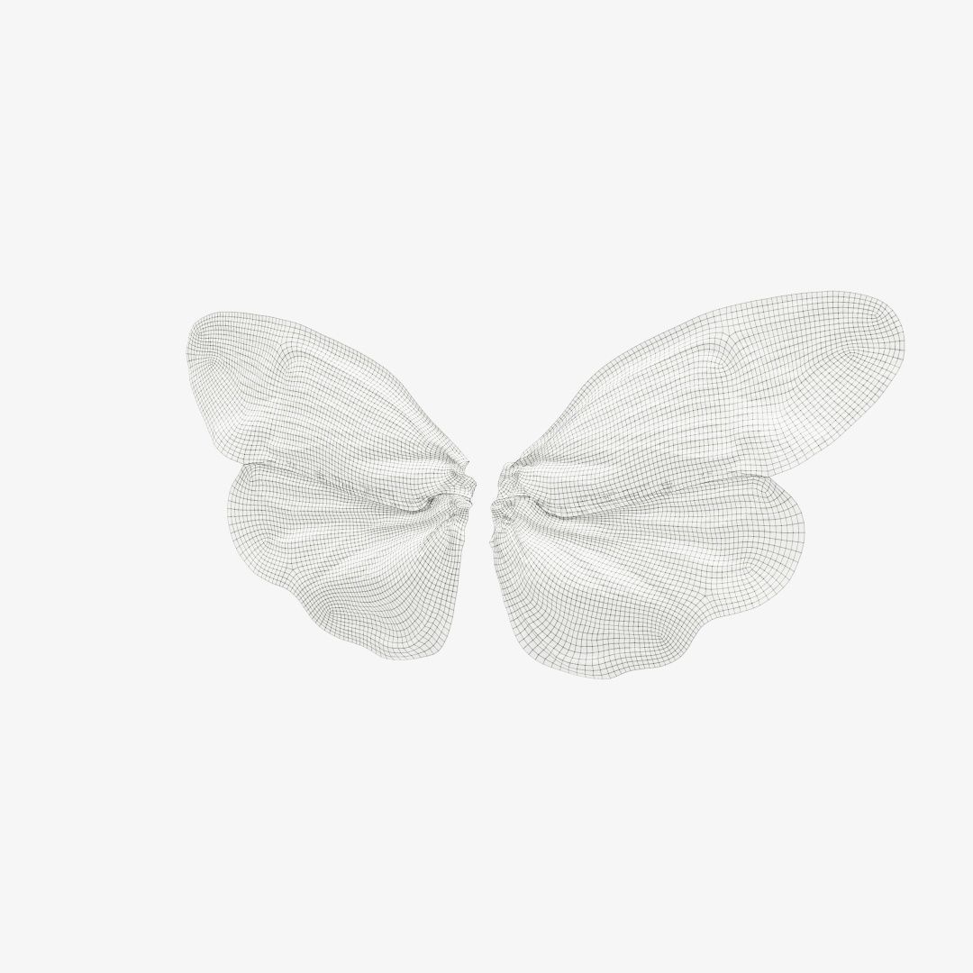 Butterfly 13 Low-poly 3D model_12