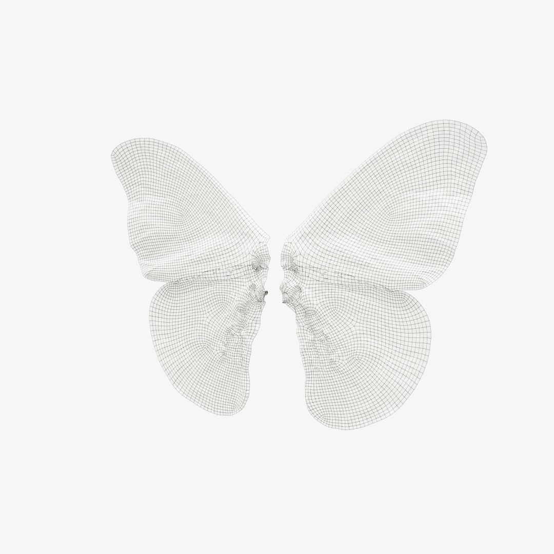 Butterfly 12 Low-poly 3D model_12