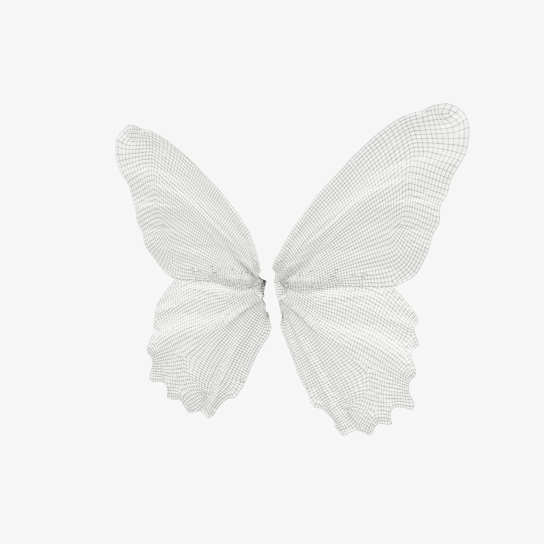 Butterfly 11 Low-poly 3D model_12