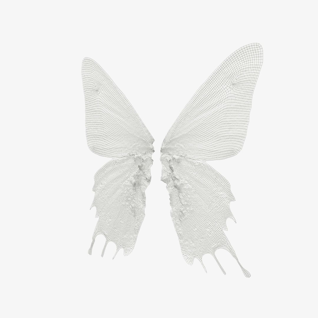 Butterfly 10 Low-poly 3D model_12