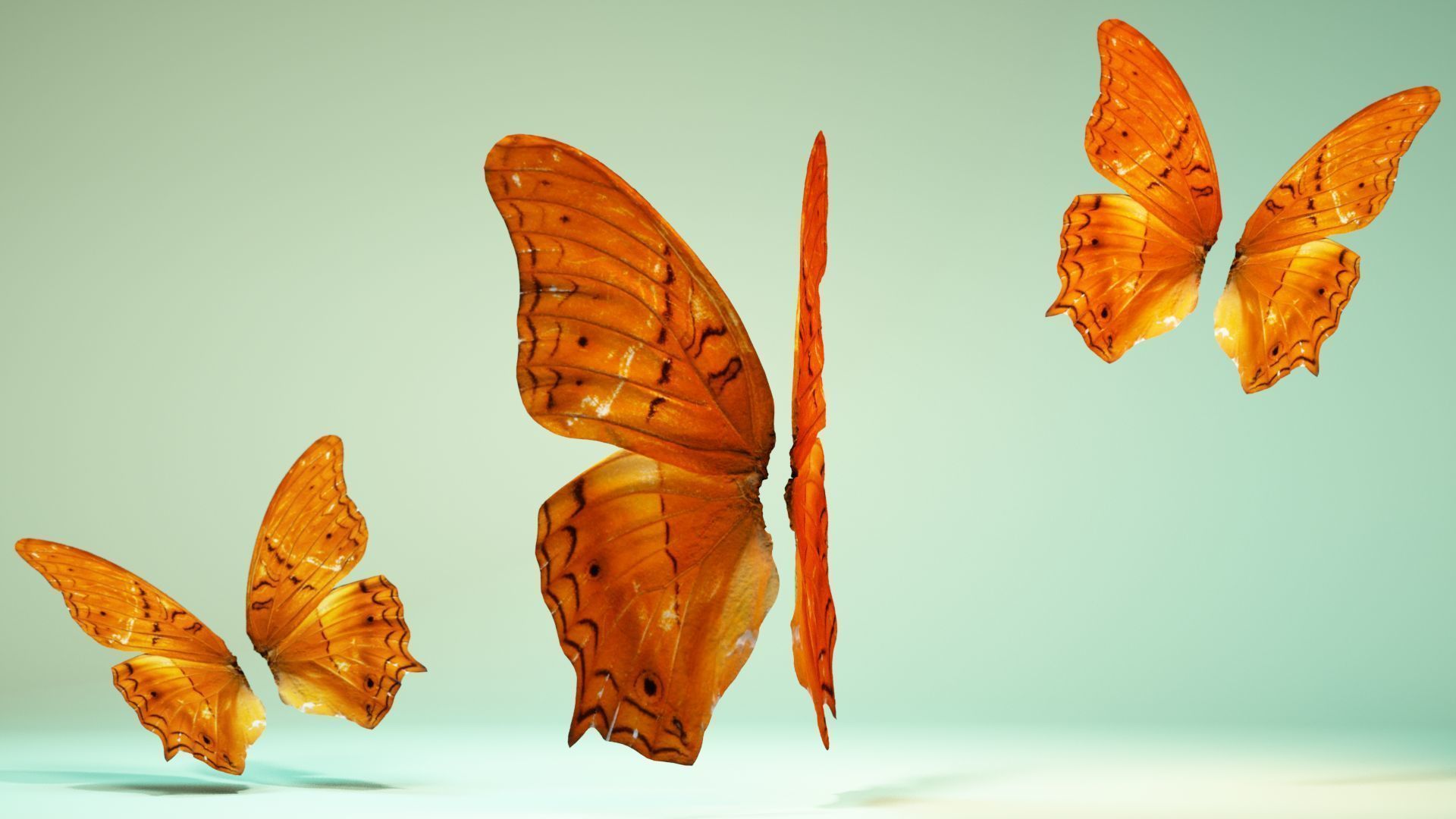 Butterfly 1 three orange butterflies flying in air Low-poly 3D model_8