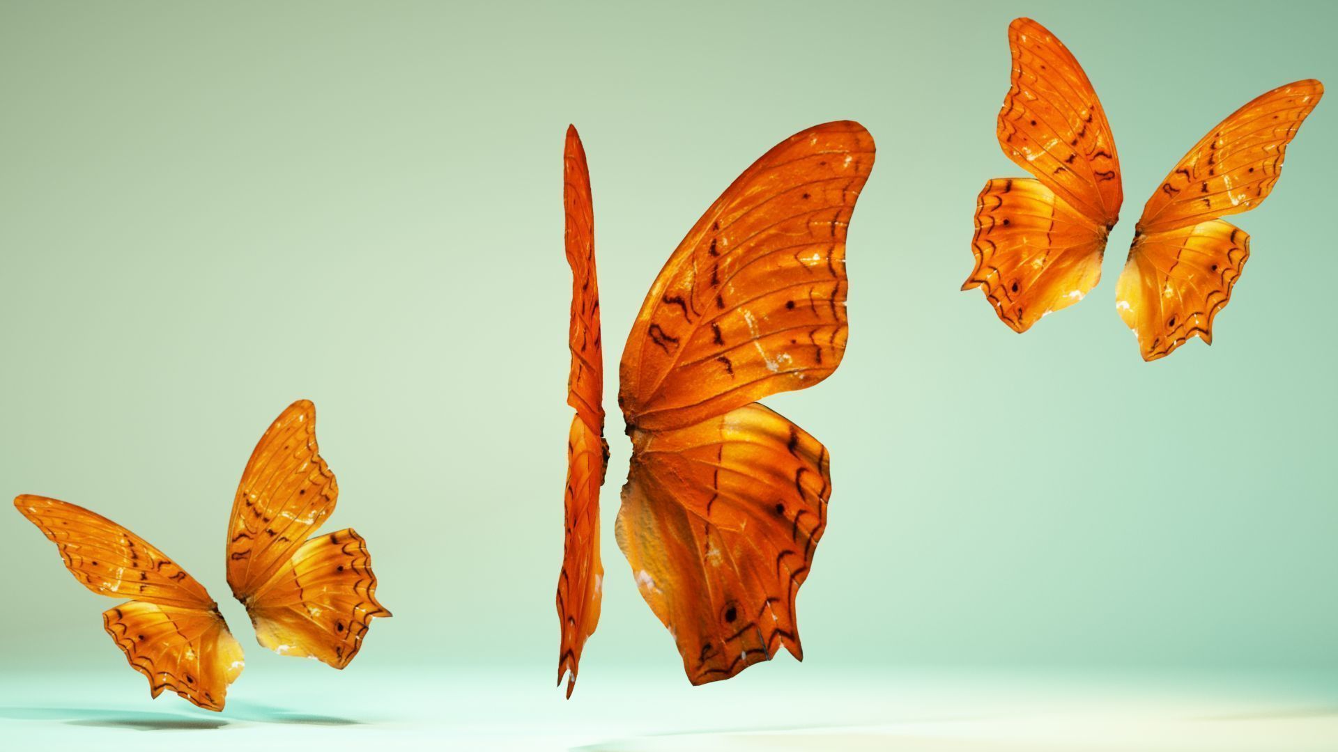 Butterfly 1 three orange butterflies flying in air Low-poly 3D model_2