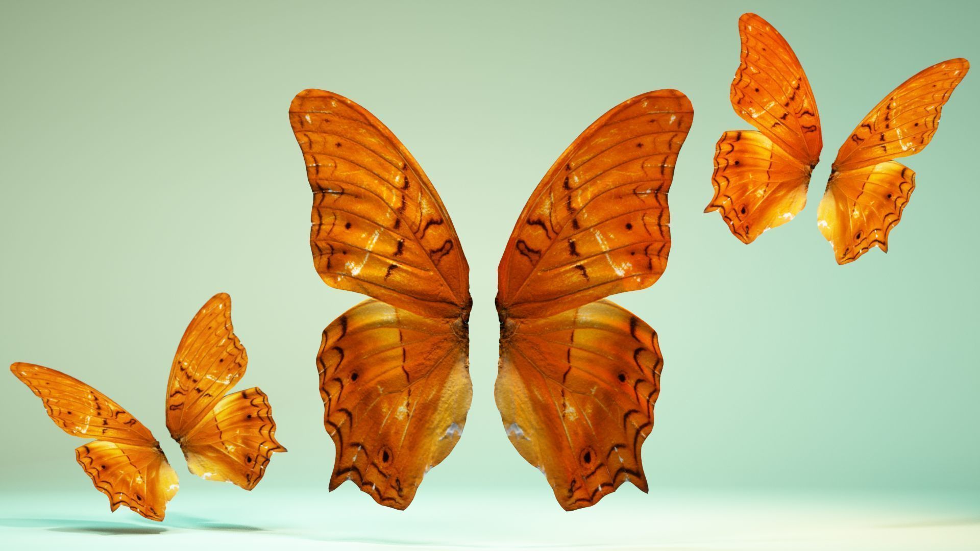 Butterfly 1 three orange butterflies flying in air Low-poly 3D model_6