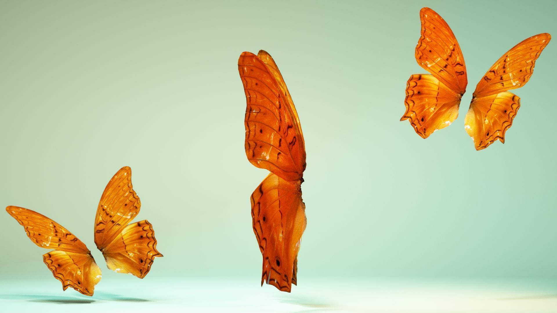 Butterfly 1 three orange butterflies flying in air Low-poly 3D model_9