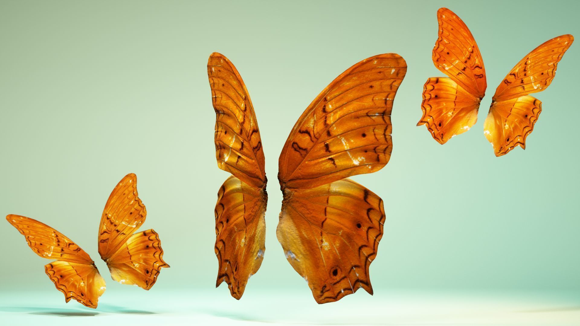 Butterfly 1 three orange butterflies flying in air Low-poly 3D model_5
