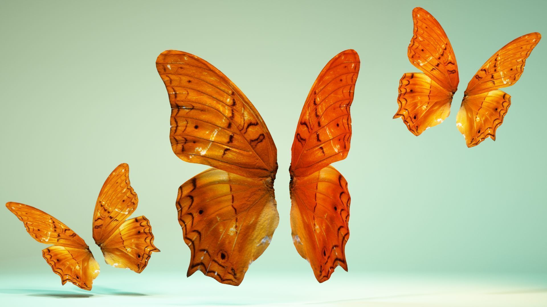 Butterfly 1 three orange butterflies flying in air Low-poly 3D model_7