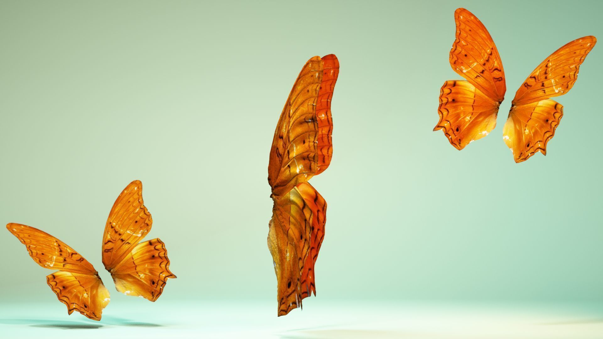 Butterfly 1 three orange butterflies flying in air Low-poly 3D model_3