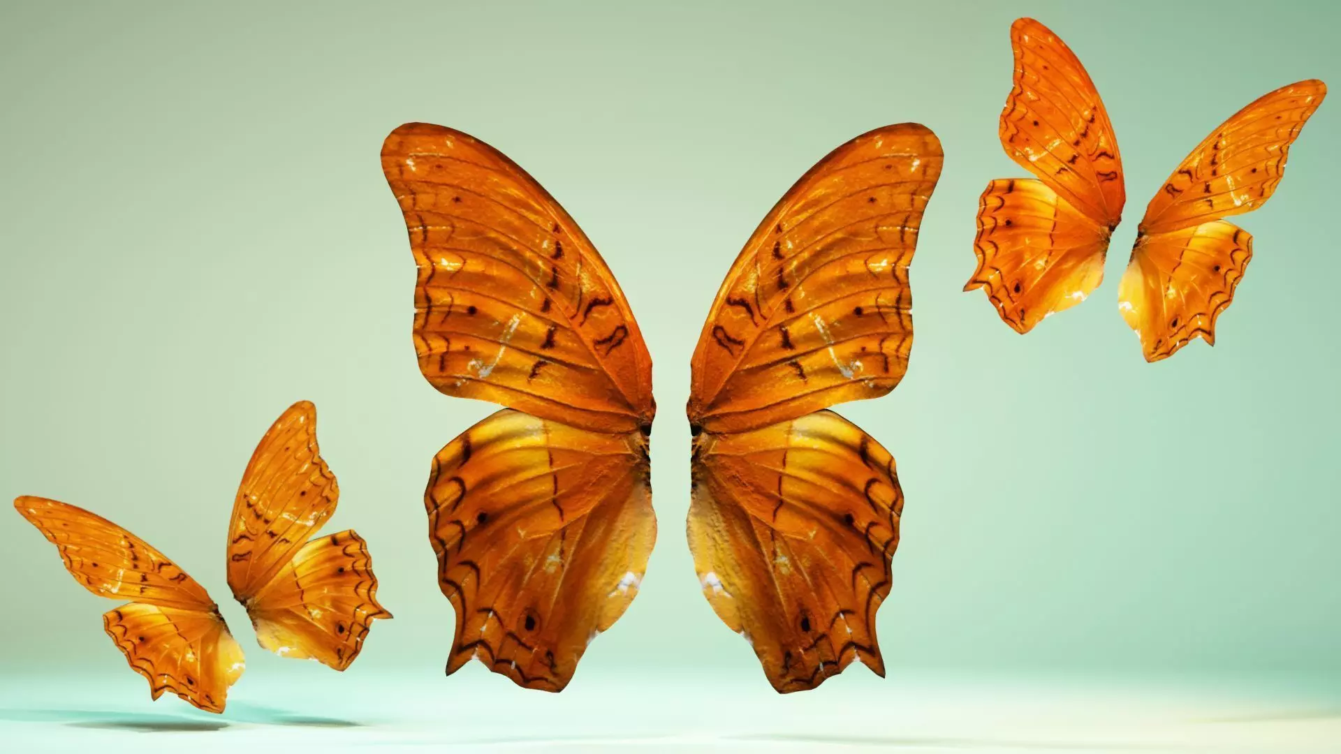 Butterfly 1 three orange butterflies flying in air Low-poly 3D model_0