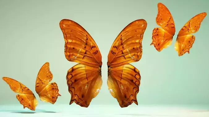 Butterfly 1 three orange butterflies flying in air Low-poly 3D model