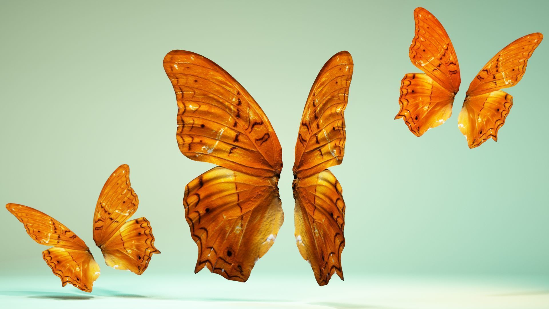 Butterfly 1 three orange butterflies flying in air Low-poly 3D model_11