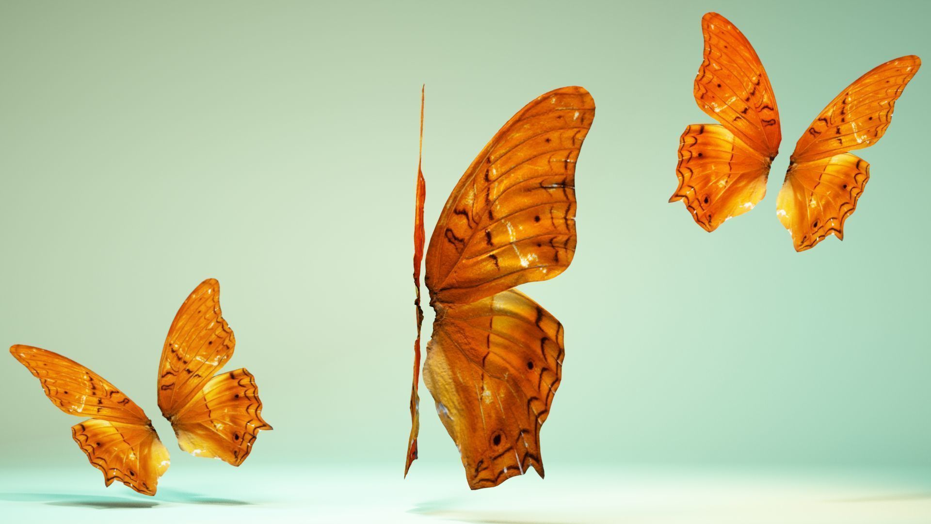 Butterfly 1 three orange butterflies flying in air Low-poly 3D model_4