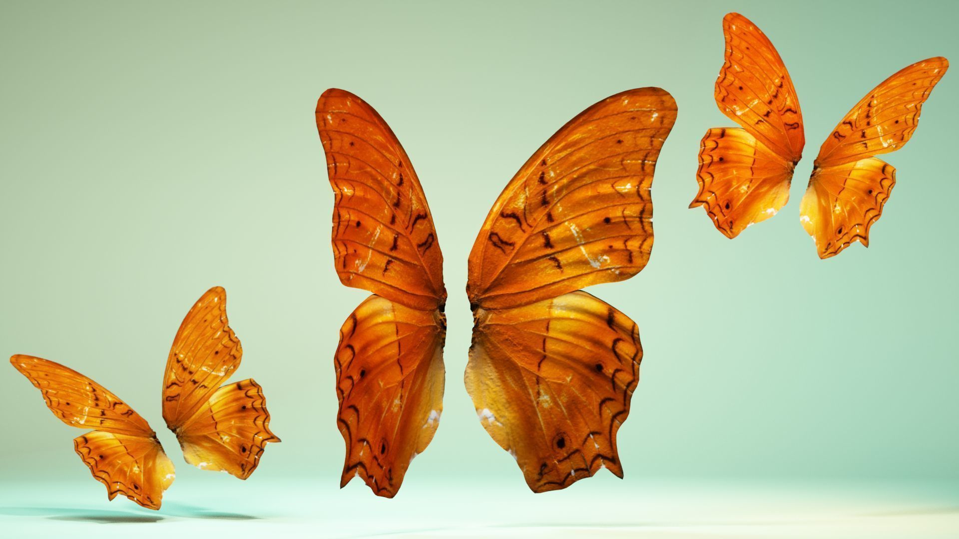 Butterfly 1 three orange butterflies flying in air Low-poly 3D model_1