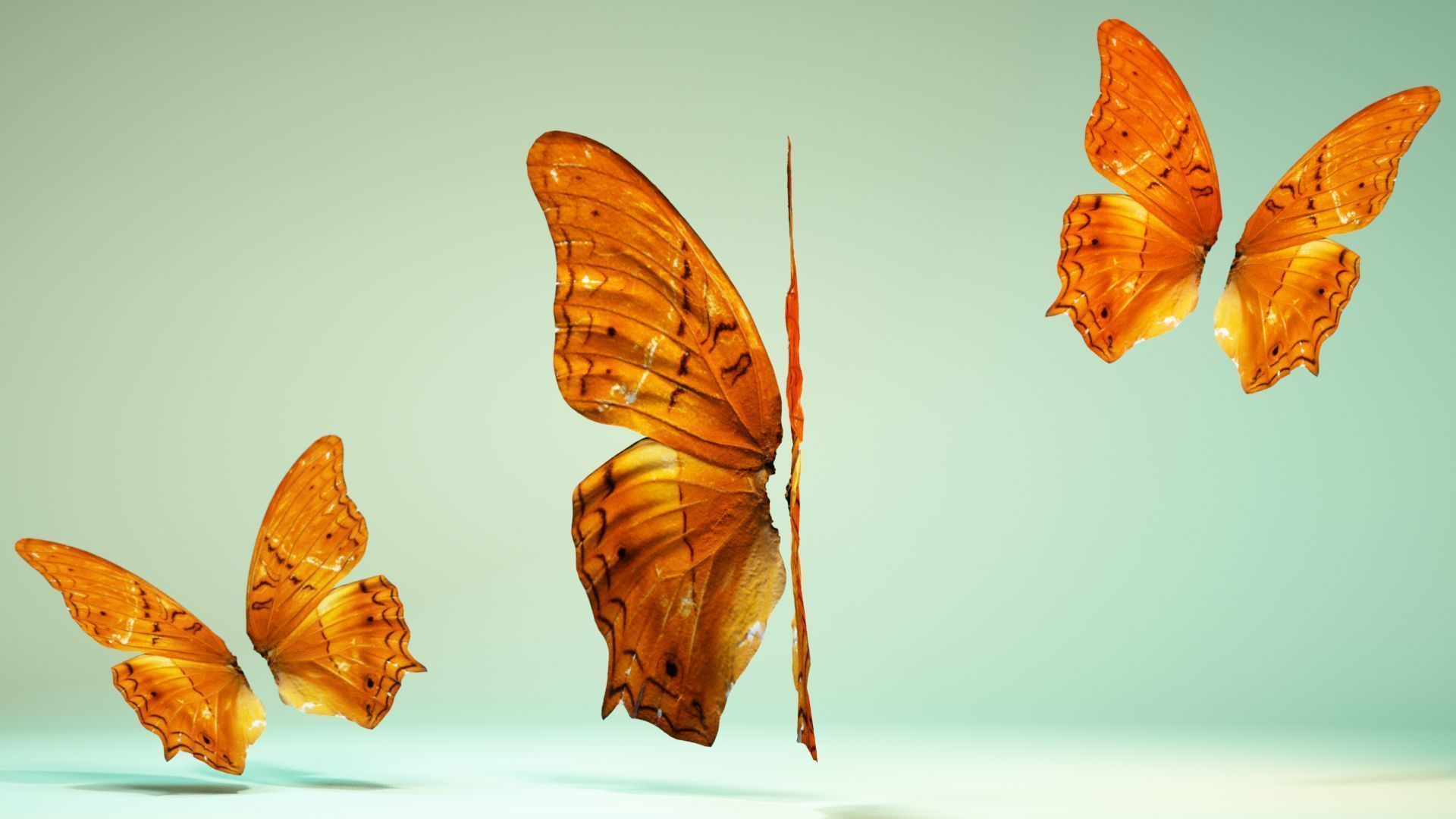 Butterfly 1 three orange butterflies flying in air Low-poly 3D model_10