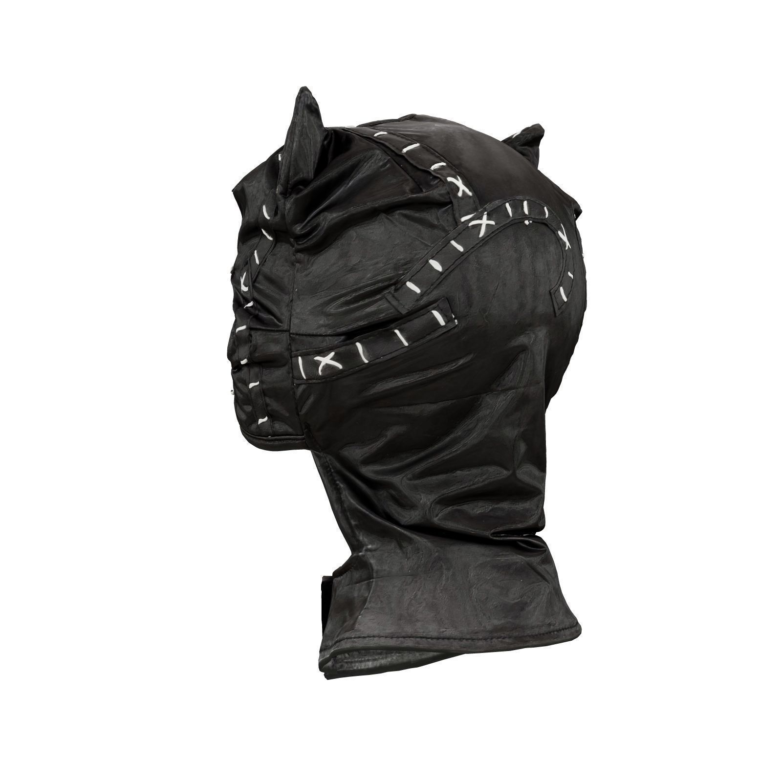 Catwoman Mask 3D model_3
