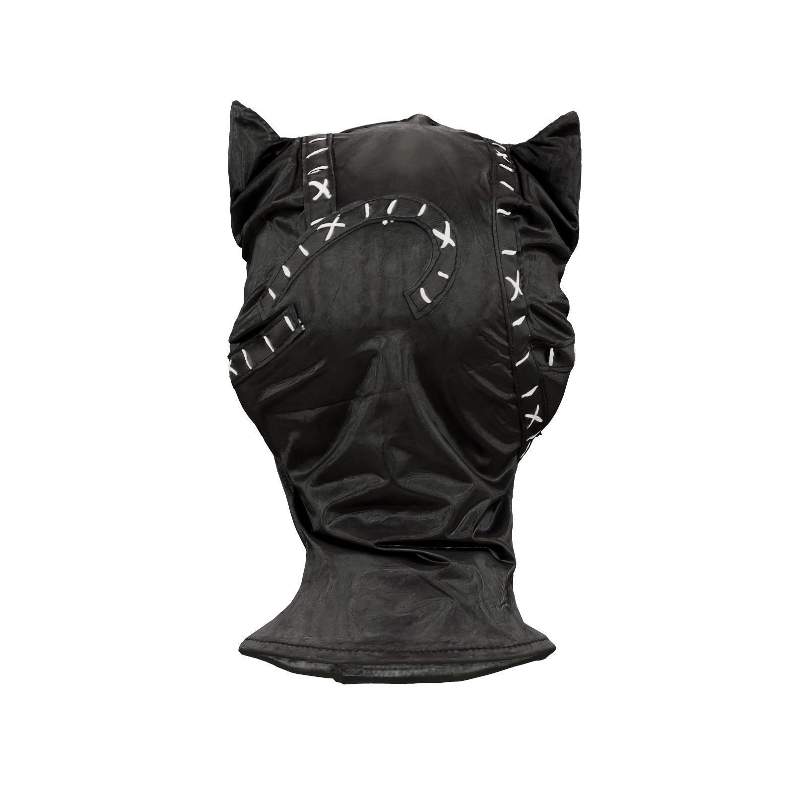 Catwoman Mask 3D model_2