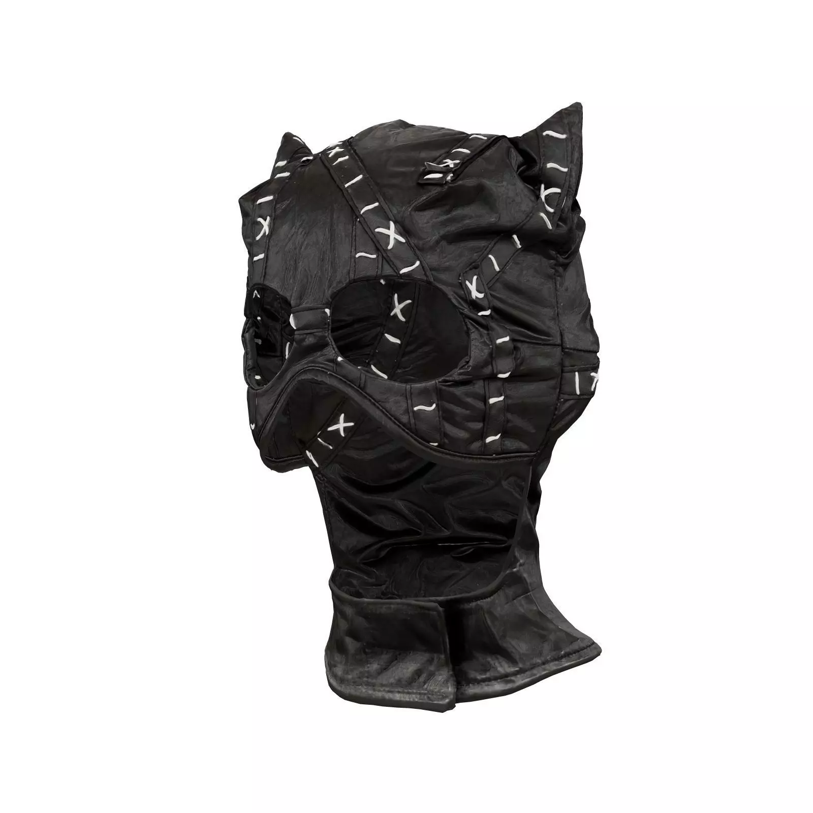 Catwoman Mask 3D model_0