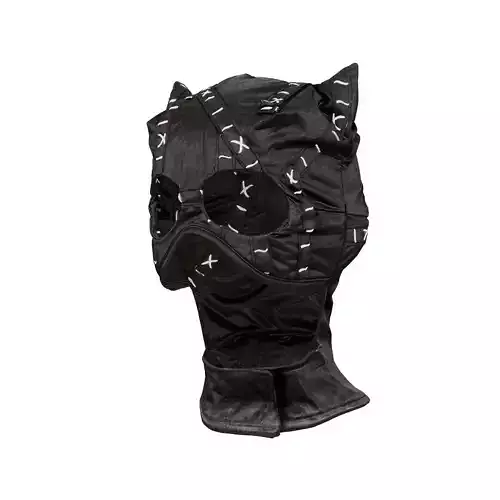 Catwoman Mask 3D model