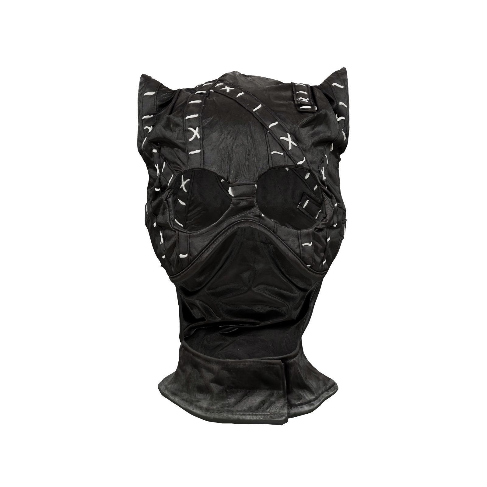 Catwoman Mask 3D model_1