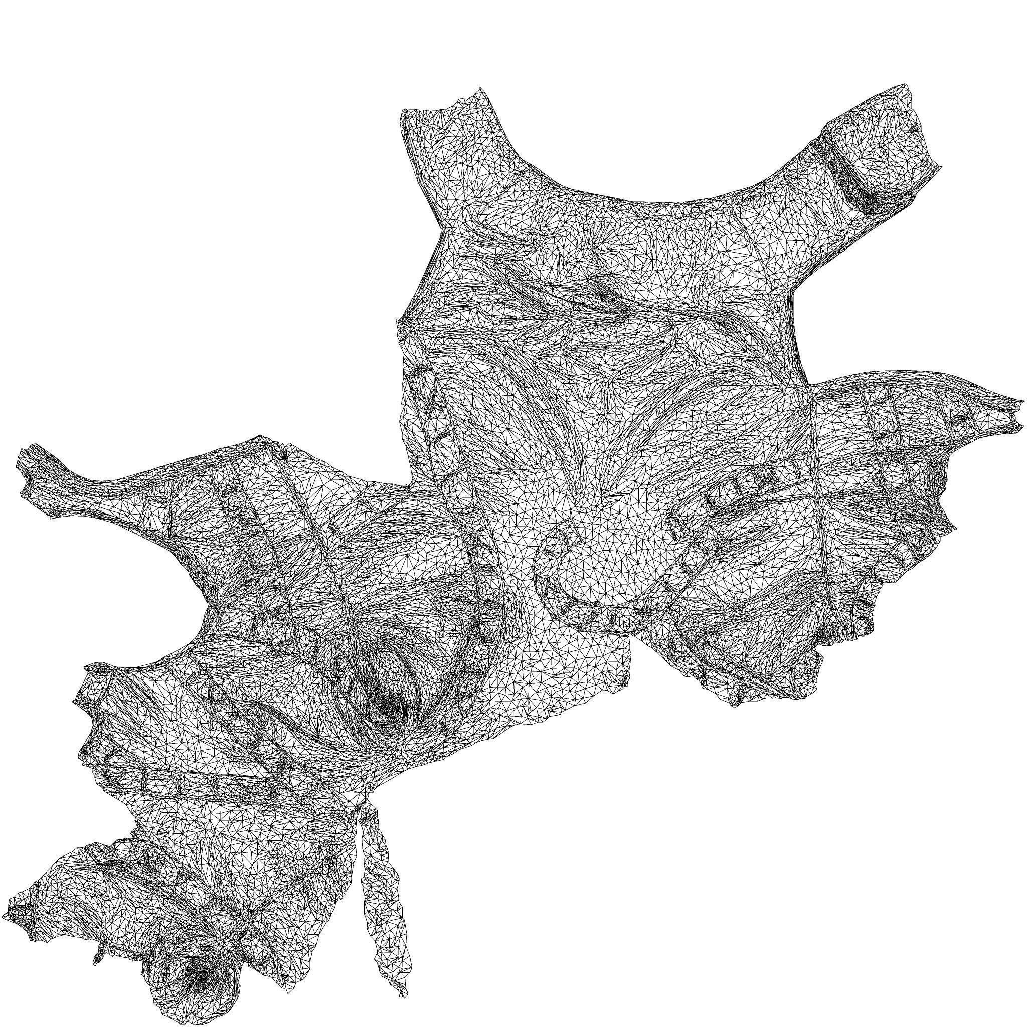 Catwoman Mask 3D model_8