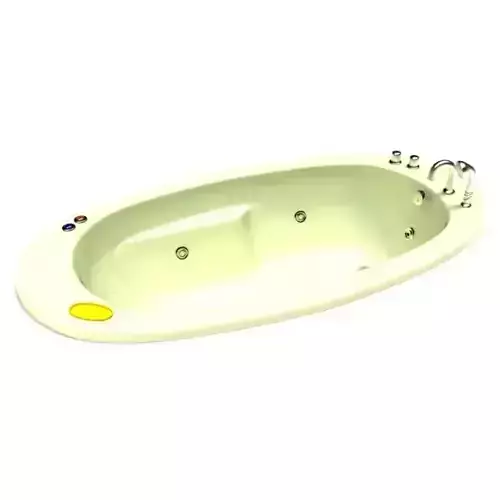 White Tub With Fixtures