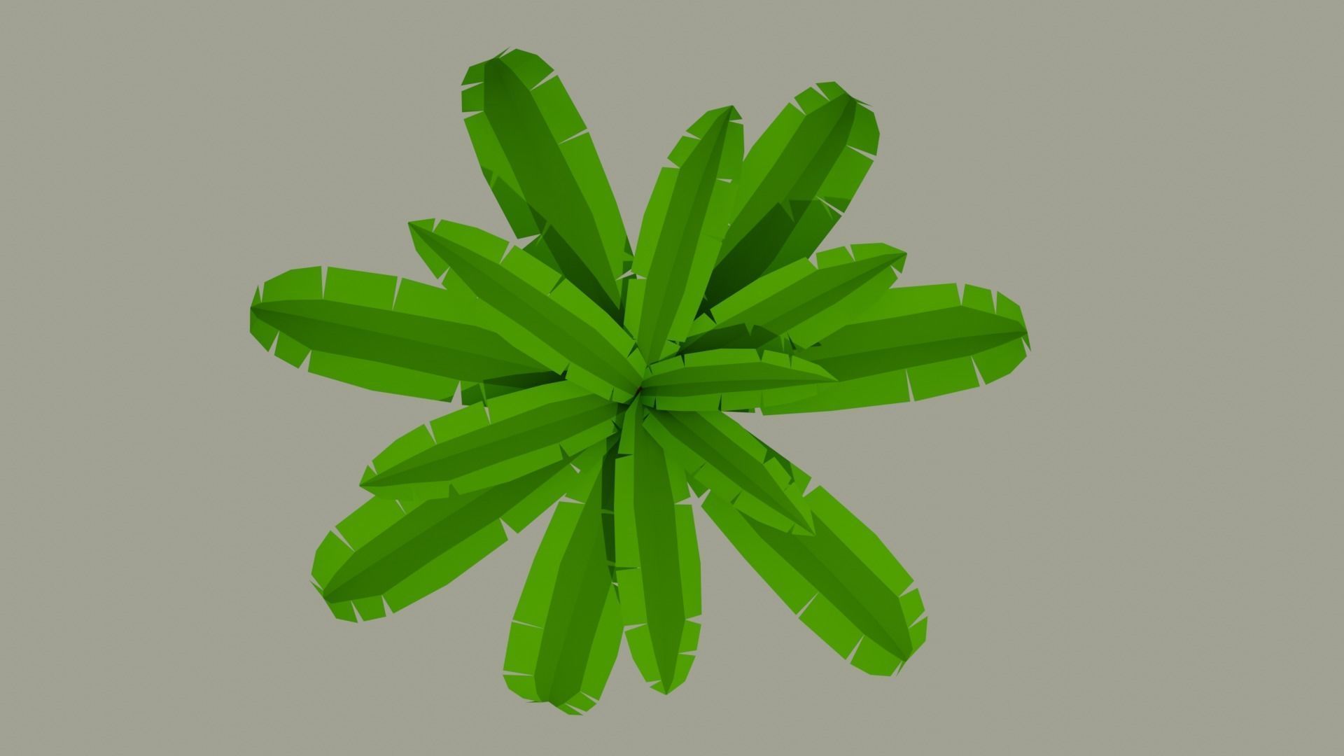 Cartoon Palm Tree Low-poly 3D model_3