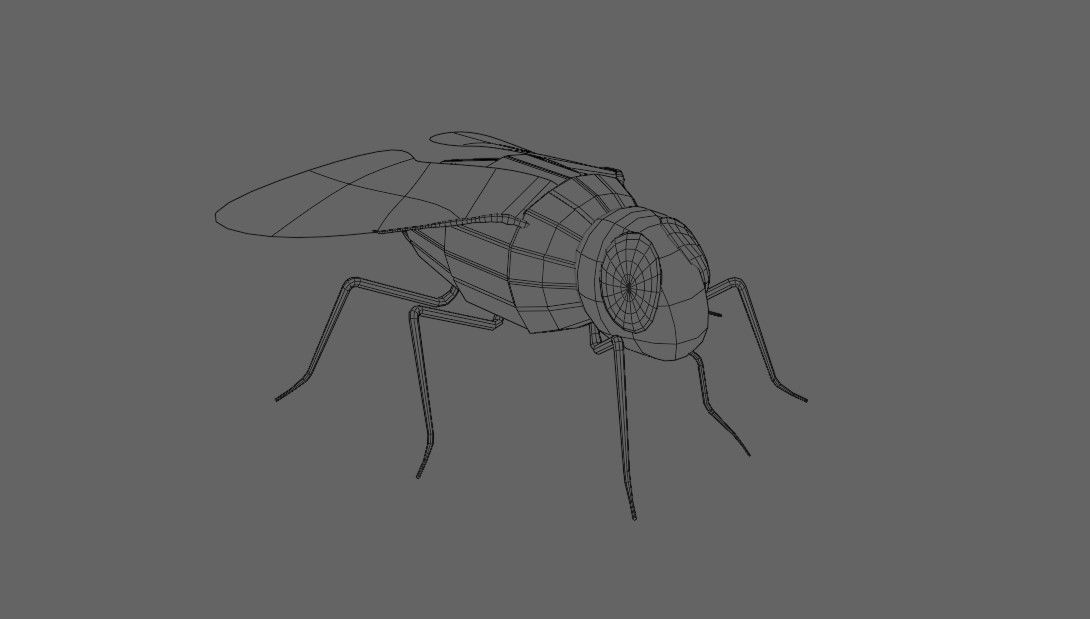 Mosquito - Fly Low-poly 3D model_19