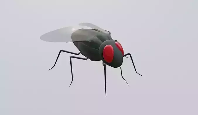Mosquito - Fly Low-poly 3D model