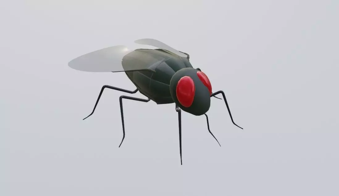 Mosquito - Fly Low-poly 3D model_0