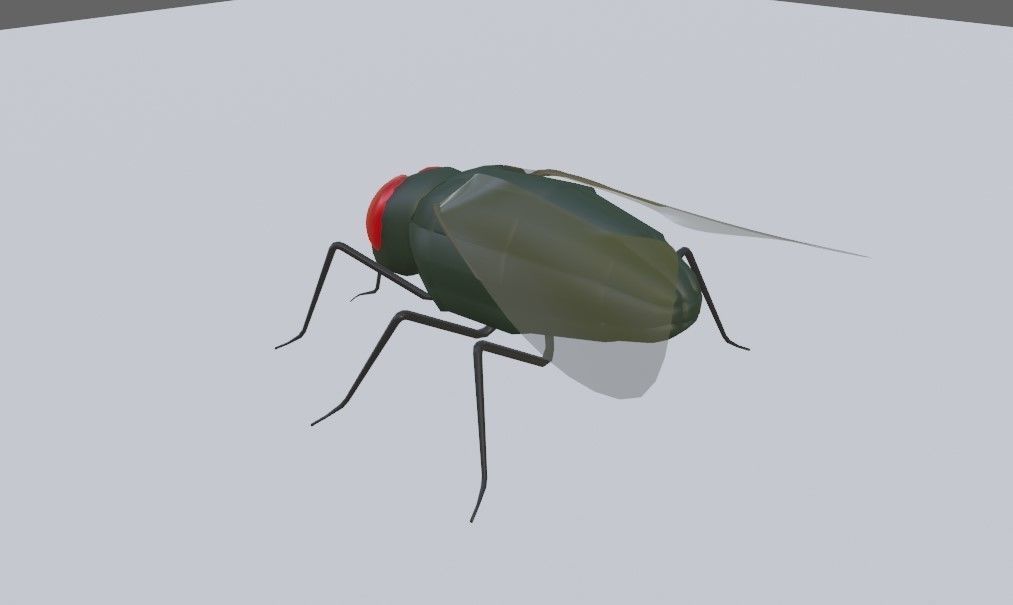 Mosquito - Fly Low-poly 3D model_13