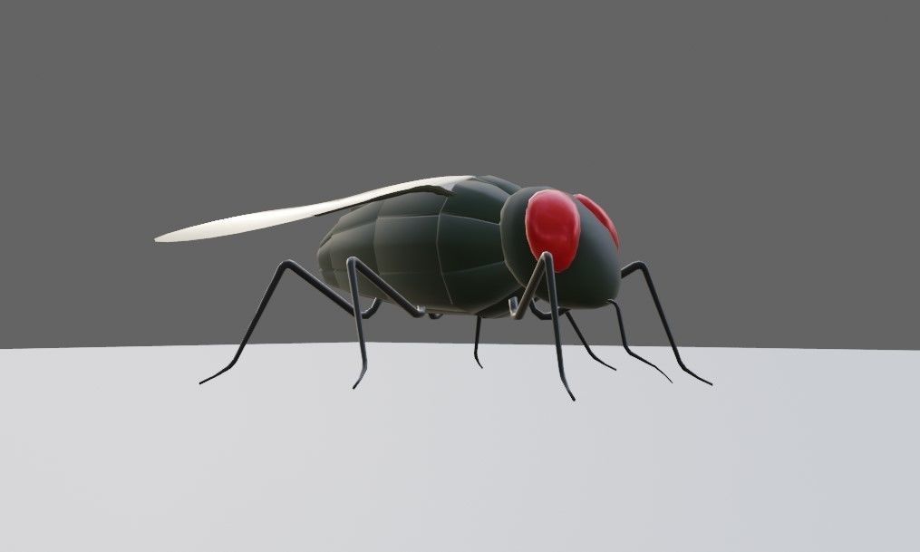 Mosquito - Fly Low-poly 3D model_2