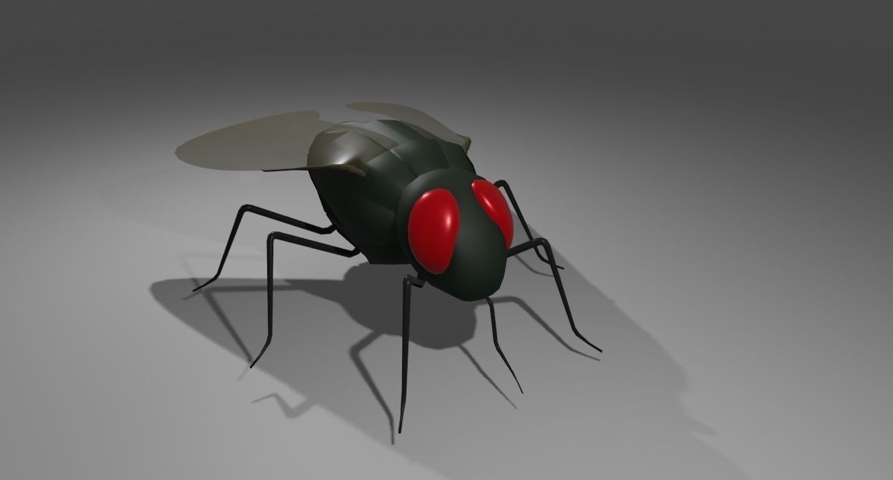 Mosquito - Fly Low-poly 3D model_10