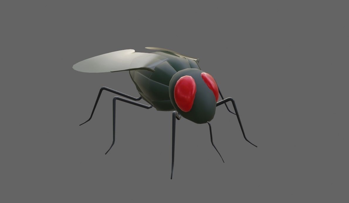 Mosquito - Fly Low-poly 3D model_4