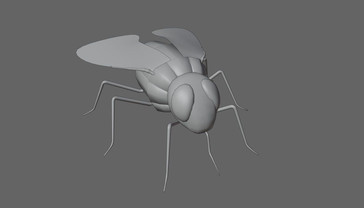 Mosquito - Fly Low-poly 3D model_16