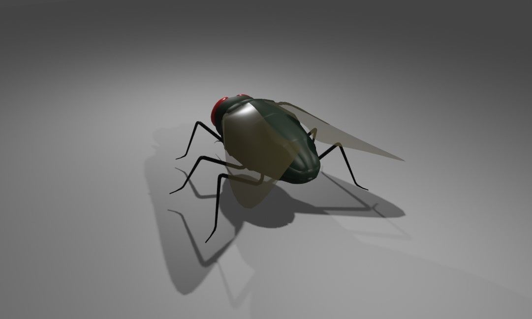 Mosquito - Fly Low-poly 3D model_11