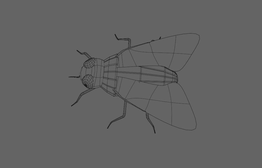 Mosquito - Fly Low-poly 3D model_20