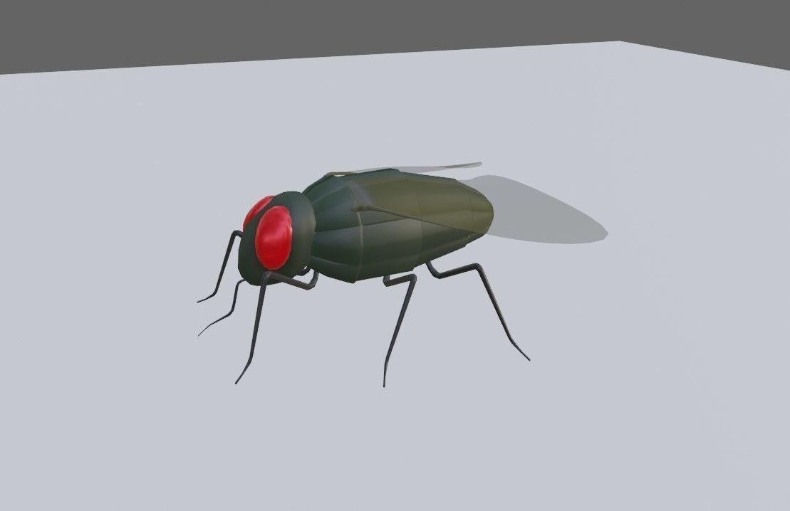 Mosquito - Fly Low-poly 3D model_12