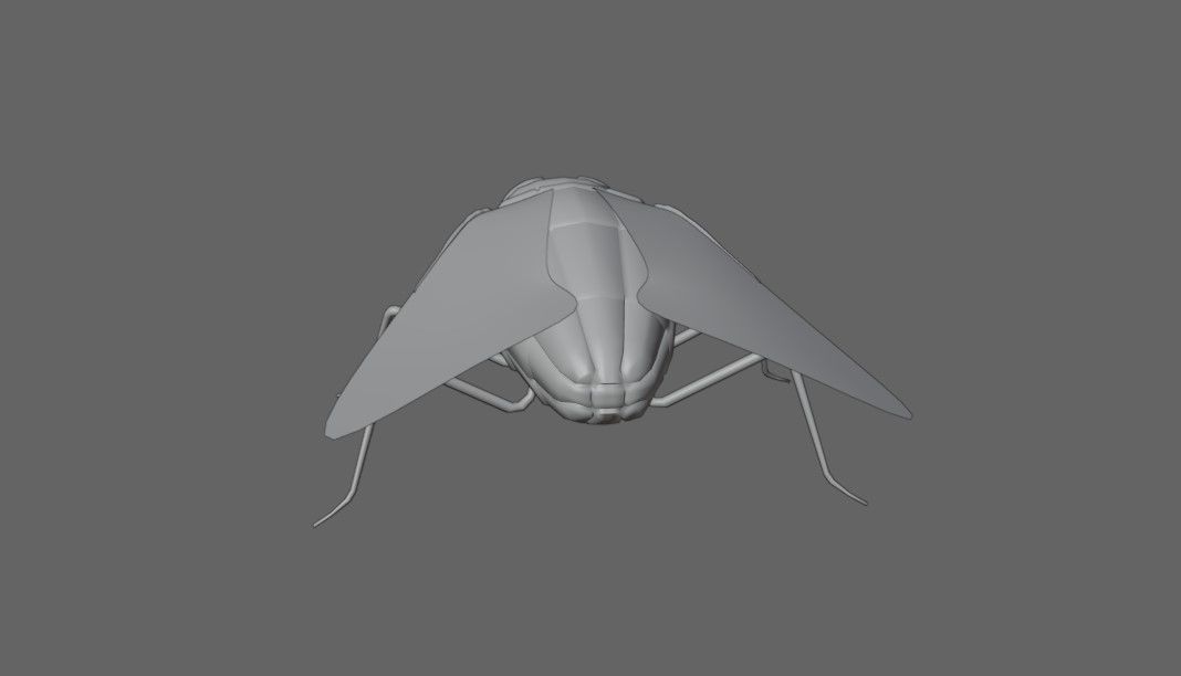 Mosquito - Fly Low-poly 3D model_18