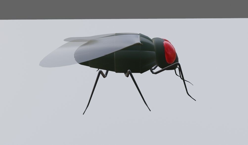 Mosquito - Fly Low-poly 3D model_9