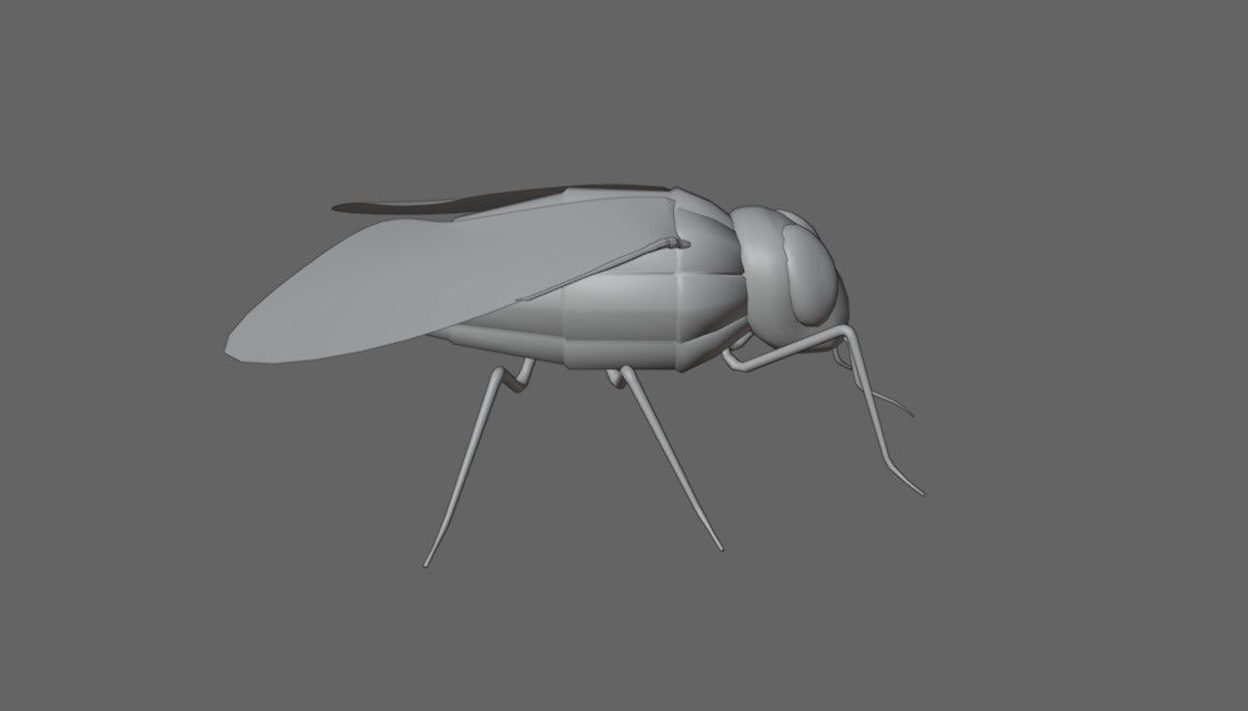 Mosquito - Fly Low-poly 3D model_17