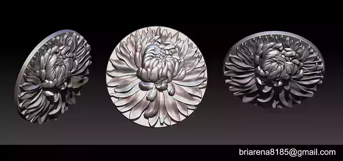 Chrysanthemum Flower 3D model