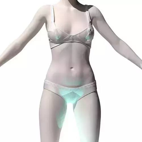 Lingerie set 6 models  3D model