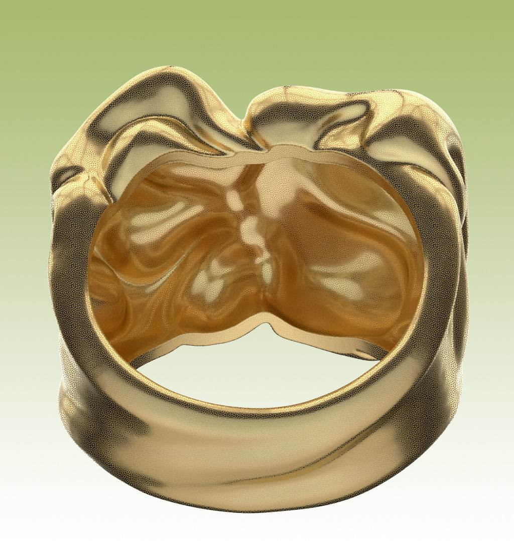 Ring Tissue 3D print model_9
