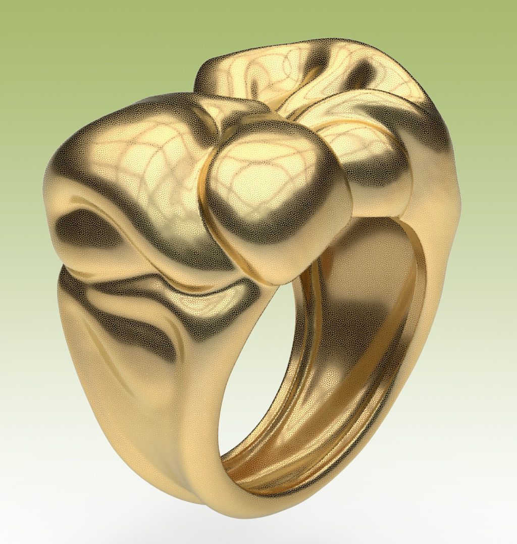 Ring Tissue 3D print model_5