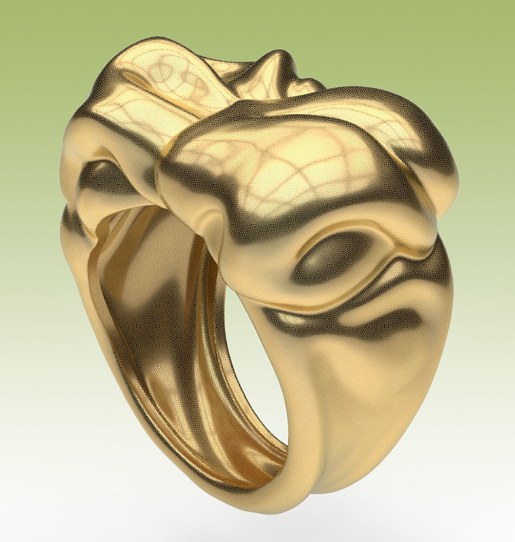 Ring Tissue 3D print model_6