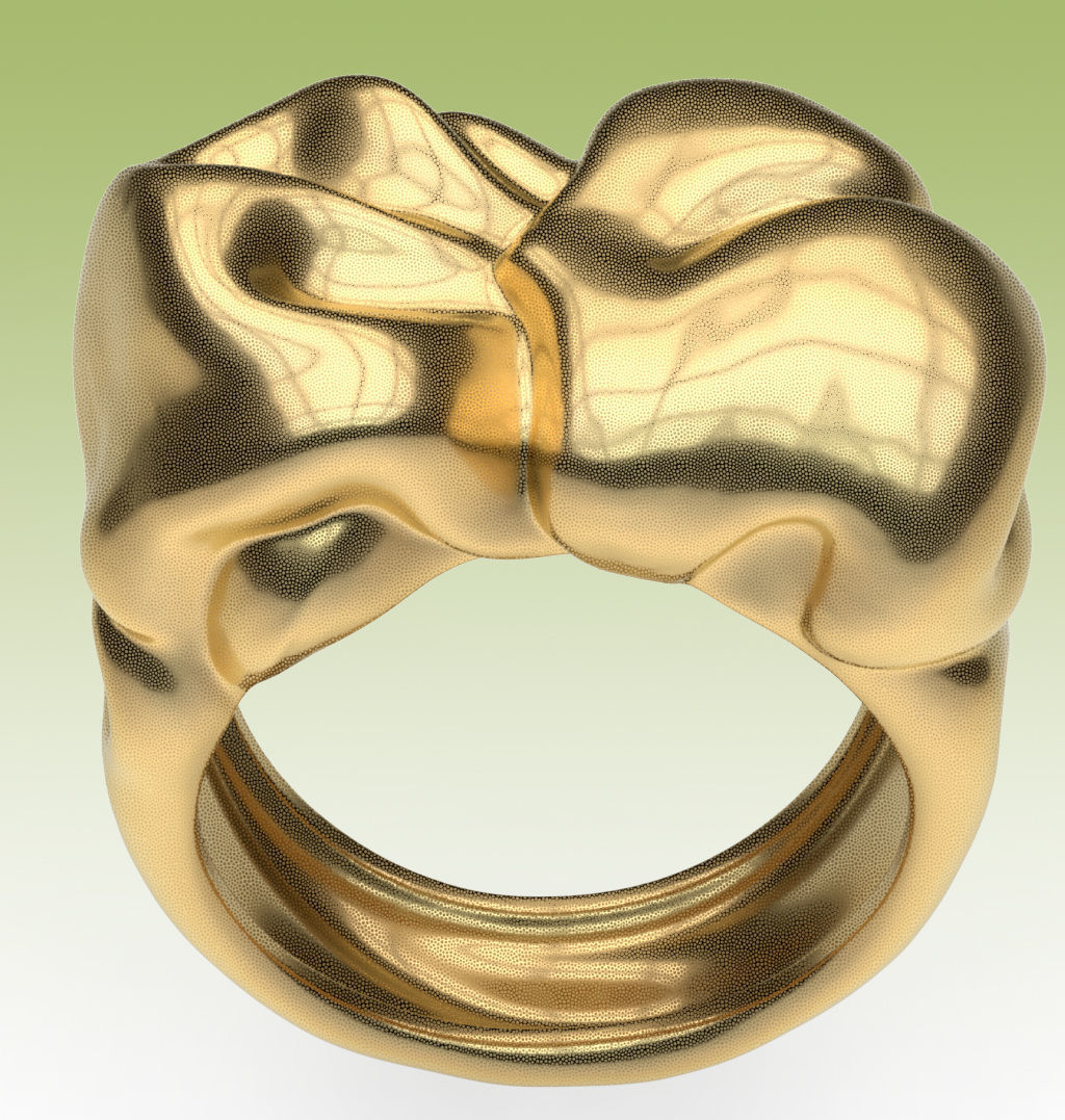 Ring Tissue 3D print model_8