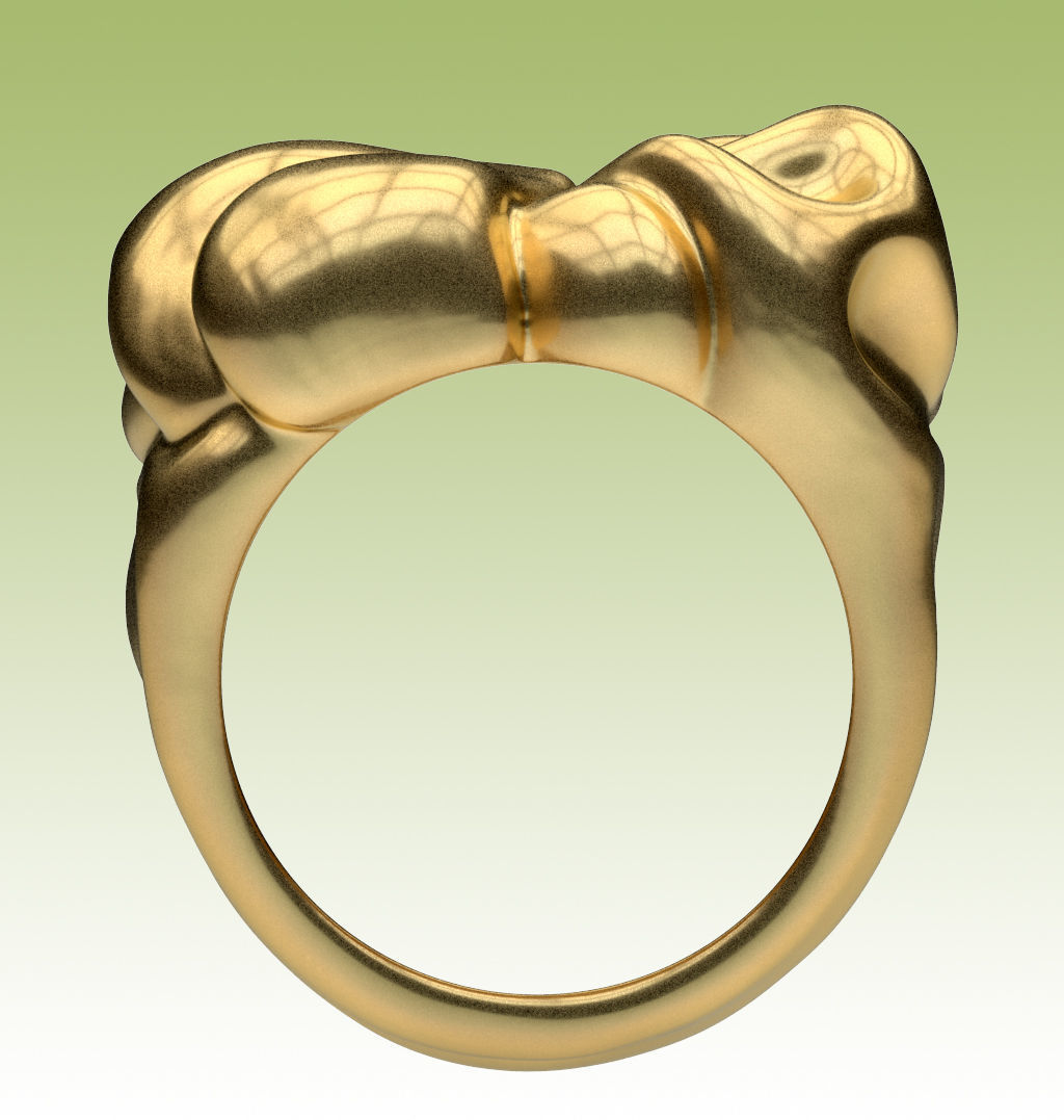 Ring Tissue 3D print model_11