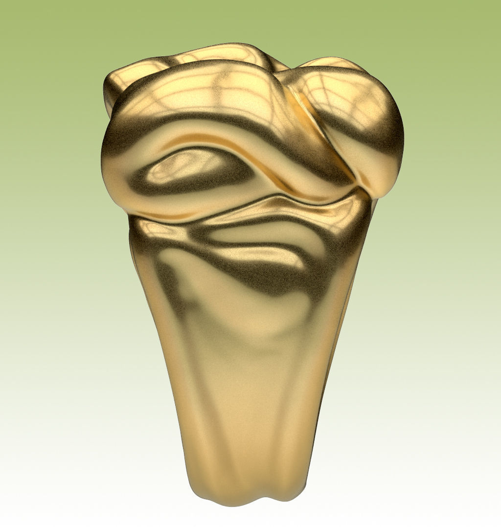 Ring Tissue 3D print model_13