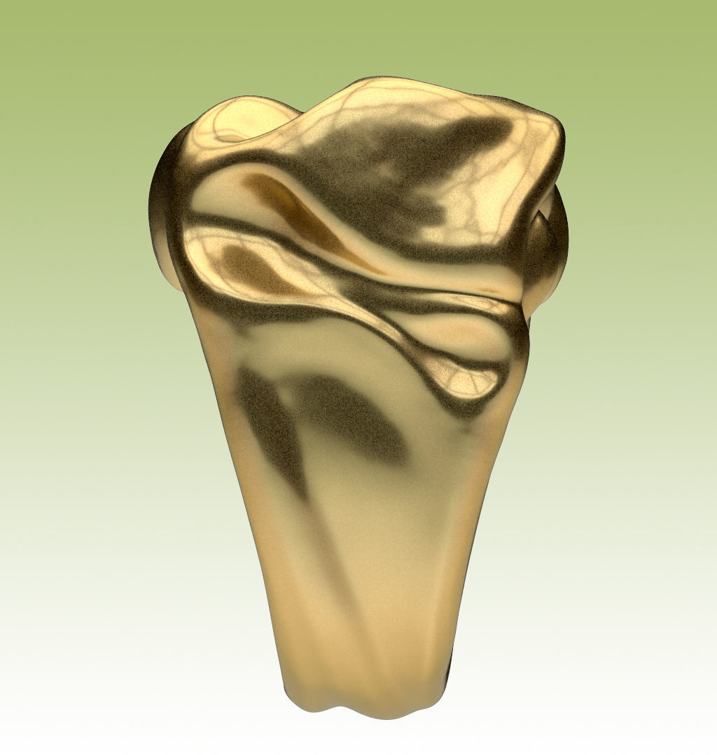 Ring Tissue 3D print model_12