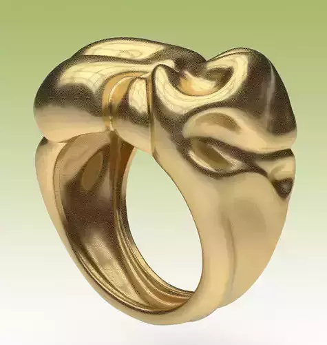 Ring Tissue 3D print model