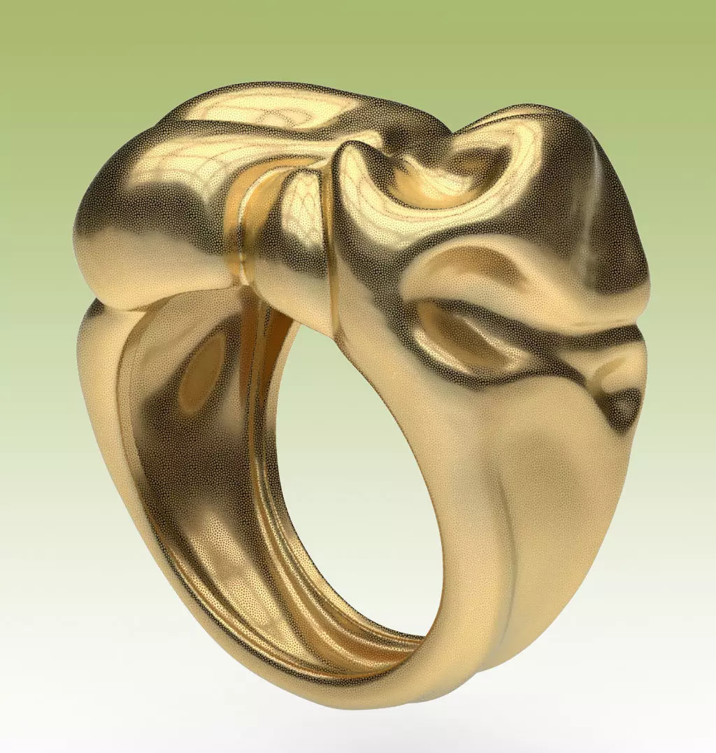 Ring Tissue 3D print model_0